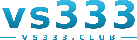 vs333 logo
